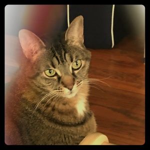 Meet your Posher, Melissa